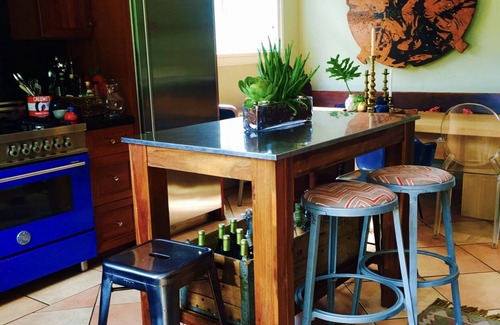 North and East House | Clinton Hill ArtHouse - art gallery and wild cactus haven