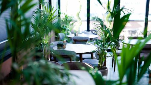 Vera Hotel | CNK Hotel By Millennium Group