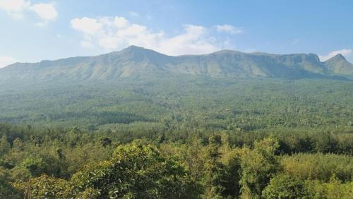Honavar House | Coasta Homestay