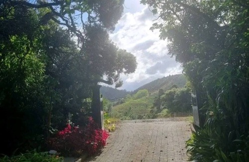 Whananaki North House | Coastal Bach with beautiful views and nearby beaches!