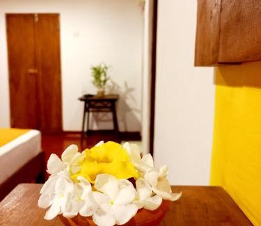 Nalagasdeniya Villa | Coco Garden Villas 1
