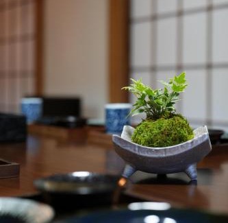Fujinomiya Apartment | Cocomiya