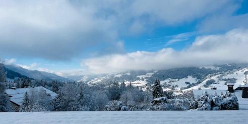 Le Planellet Apartment | Cocon au pied des pistes de ski du Mont-d'Arbois