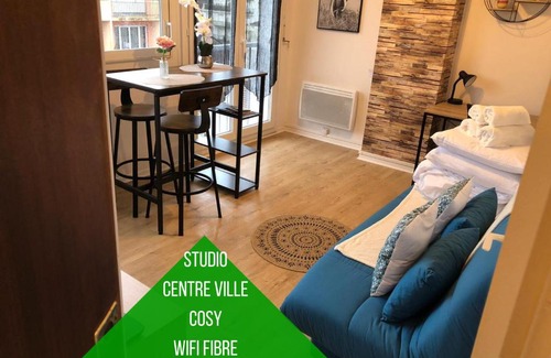 Centre Ville Apartment | Cocon Palois studio cosy dernier étage WIFI Fibre