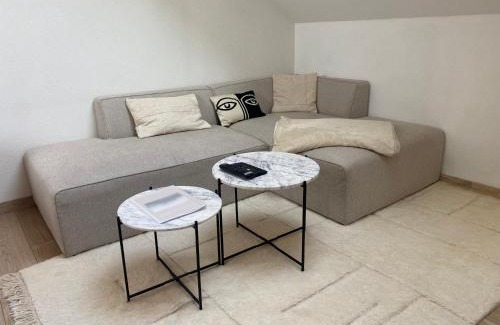 Pontarlier Apartment | Cocon Pontissalien