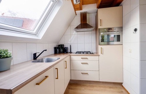 Zwiggelte House | Collared Redstart | Bungalow with fine green garden