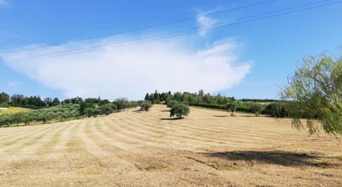 Quartiere Fiorenzuola House | Colle Gelso