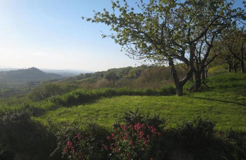 Granarola Bed & Breakfast | Collesole