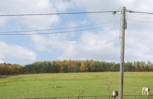 Durham House | Colliery Cottage