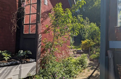 Hesselager House | Colorful home on a natural plot with its own small forest