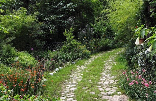 Shyamkhet Resort | Come experience what is reputed to be the best luxury retreat in the Himalayas!