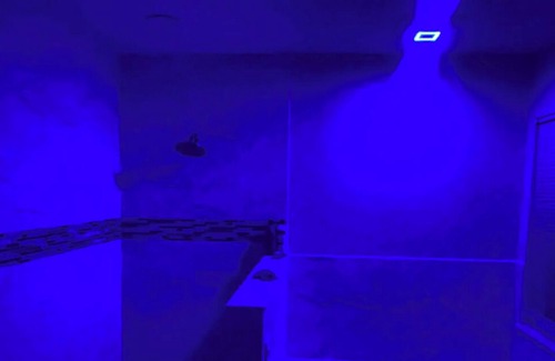 Orlando House | Come stay at our wonderful spacious home ask whatever you want