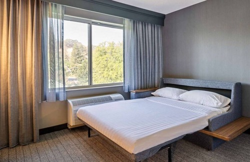 San Ramon House | Comfort and Relaxation! TWO Relaxing Units with Free Parking, Outdoor Pool!