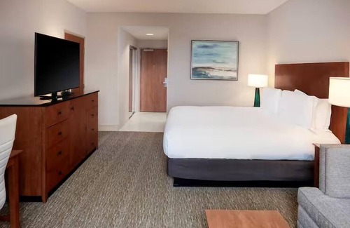 St. Petersburg - Clearwater Hotel | Comfort & Elegance near Beach & Downtown | Pool, Lake View, 4 Units