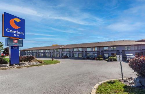 Northeast Mississauga Hotel | Comfort Inn Airport West