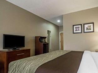 Amite Hotel | Comfort Inn Amite