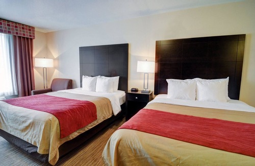 Soncy Hotel | Comfort Inn And Suites Amarillo