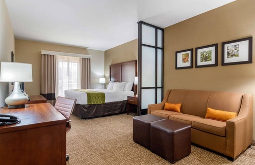 Griffin Hotel | Comfort Inn And Suites Griffin