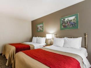 Brunswick Hotel | Comfort Inn Brunswick