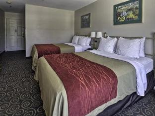Brunswick Hotel | Comfort Inn Brunswick