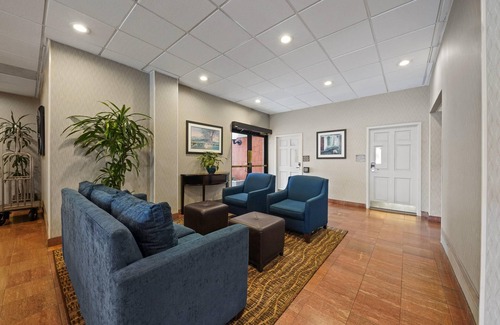 Cow Hollow Hotel | Comfort Inn by the Bay