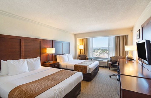 Cow Hollow Hotel | Comfort Inn by the Bay