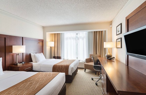 Cow Hollow Hotel | Comfort Inn by the Bay