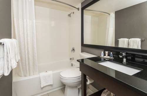 Cambridge Hotel | Comfort Inn Cambridge