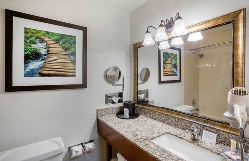 Castro Valley Hotel | Comfort Inn Castro Valley