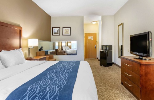 Central Business District Hotel | Comfort Inn Downtown - University Area