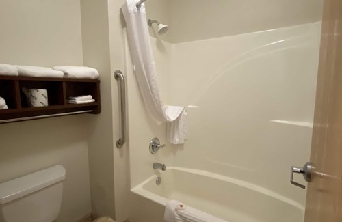 Central Business District Hotel | Comfort Inn Downtown - University Area
