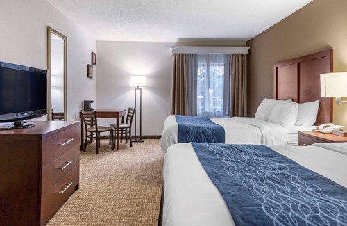 Central Business District Hotel | Comfort Inn Downtown - University Area