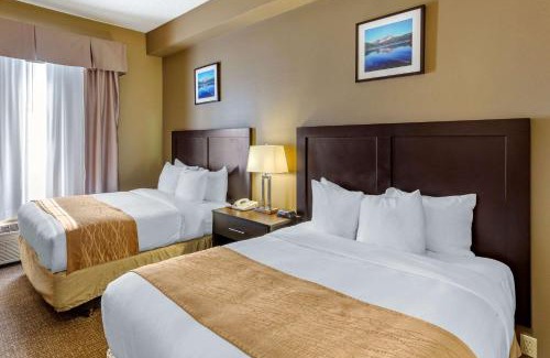 Evanston Hotel | Comfort Inn Evanston I-80