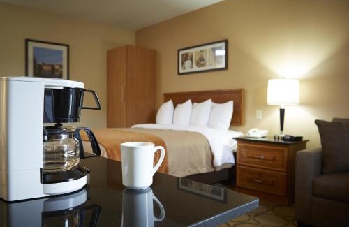 Downtown Gatineau Hotel | Comfort Inn Gatineau