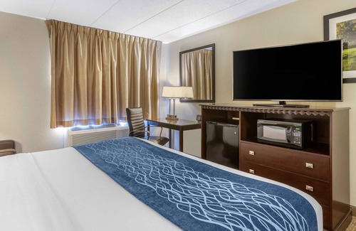 East Paris Hotel | Comfort Inn Grand Rapids Airport