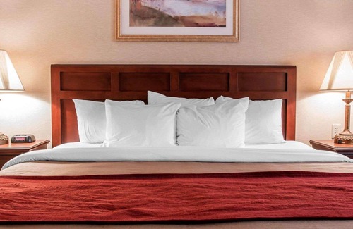Livonia Hotel | Comfort Inn Livonia