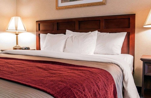 Livonia Hotel | Comfort Inn Livonia