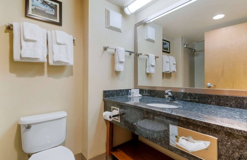 Mechanicsburg Hotel | Comfort Inn Mechanicsburg - Harrisburg South