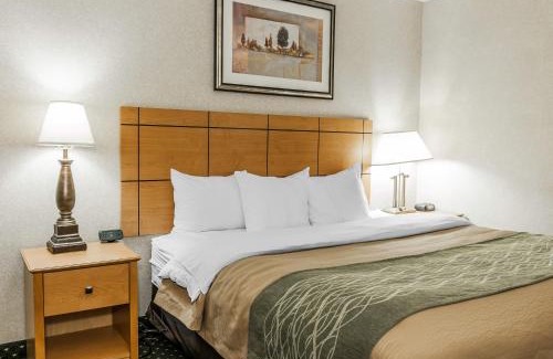 Kokomo Hotel | Comfort Inn Near Kokomo Speedway