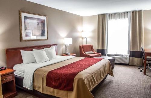 Pacific Hotel | Comfort Inn Near Six Flags St Louis
