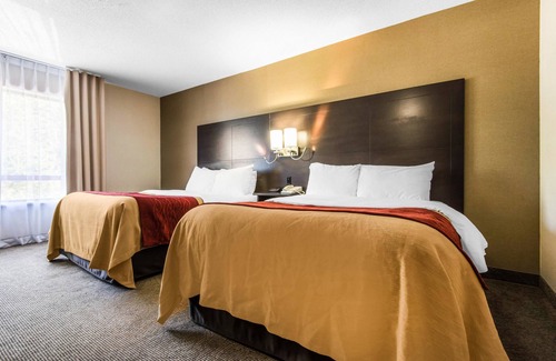 Owen Sound Hotel | Comfort Inn Owen Sound