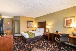 Plymouth Hotel | Comfort Inn Plymouth-Minneapolis