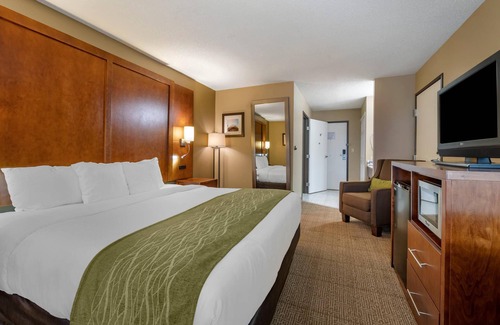 Romeoville Hotel | Comfort Inn Romeoville - Bolingbrook