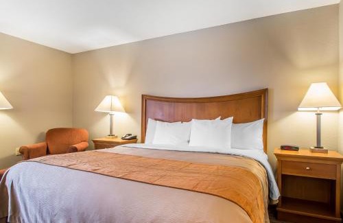 Springfield Hotel | Comfort Inn South - Springfield