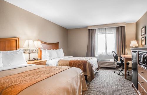 Springfield Hotel | Comfort Inn South - Springfield