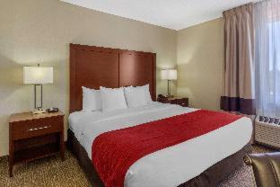 St. Petersburg - Clearwater Hotel | Comfort Inn St Petersburg North