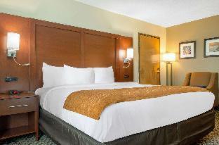 D'Iberville Hotel | Comfort Inn & Suites Biloxi-D'Iberville