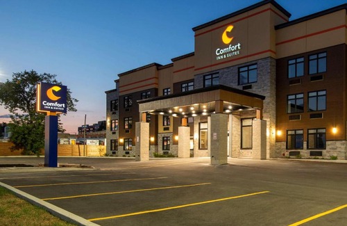 Kingston Hotel | Comfort Inn & Suites