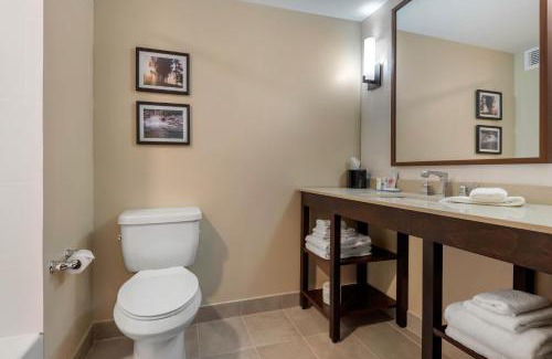 Napanee Hotel | Comfort Inn & Suites