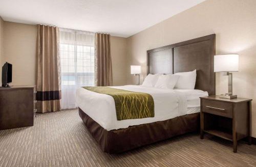 Red Deer Hotel | Comfort Inn & Suites